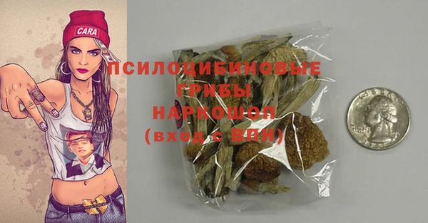 шишки Вязники