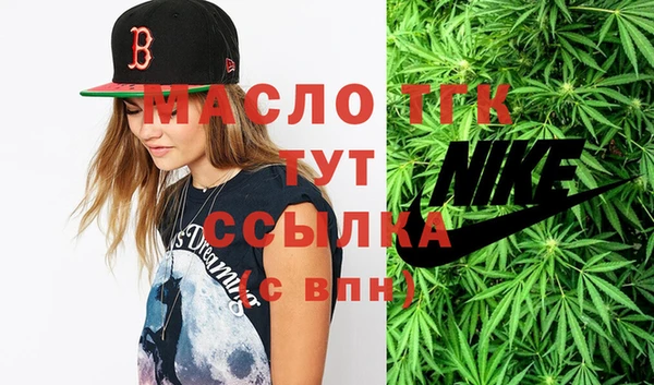 индика Покачи
