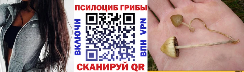 Псилоцибиновые грибы прущие грибы  цены   Снежинск 